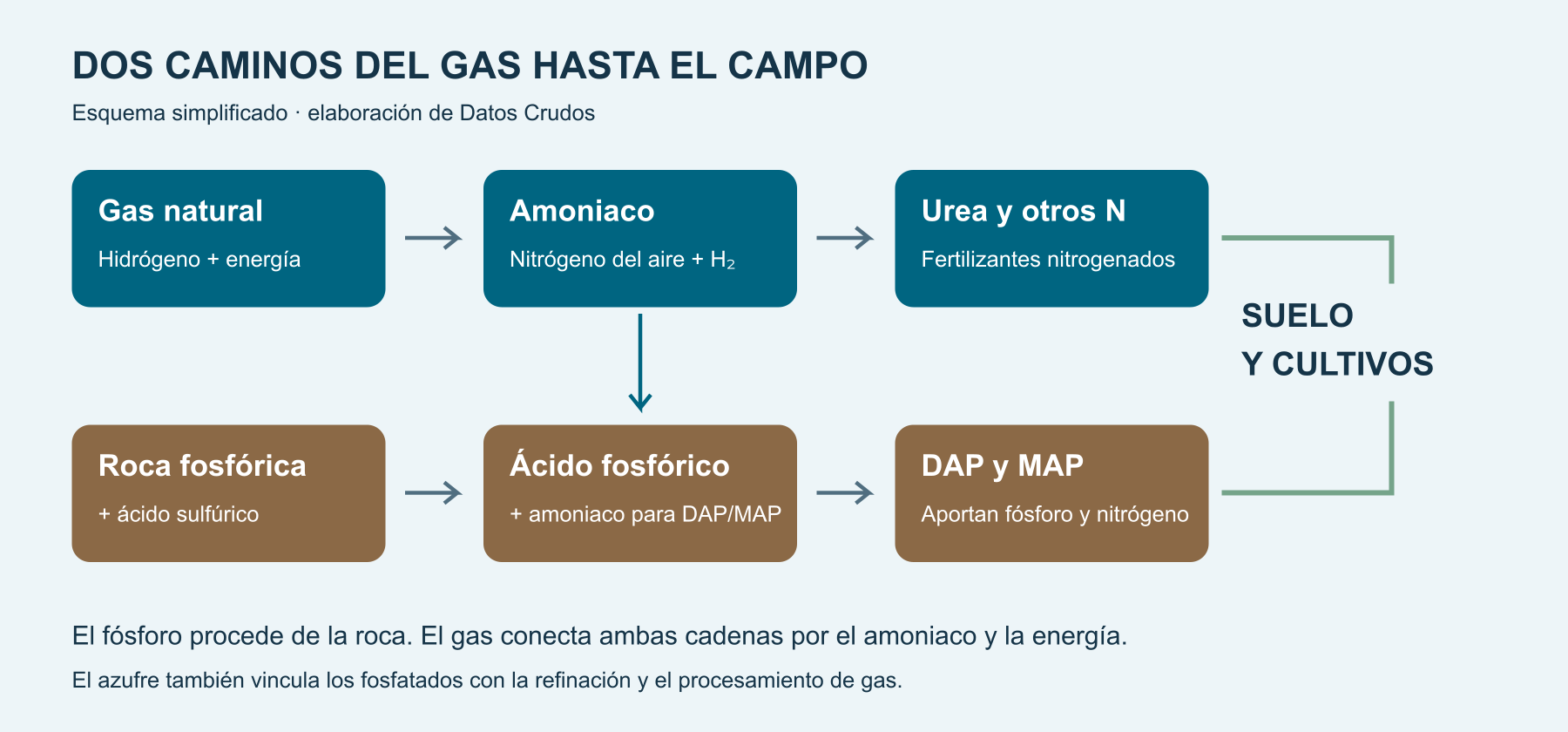 Dos cadenas conectadas: el nitrógeno del aire y el fósforo de la roca llegan al cultivo mediante procesos diferentes. Esquema conceptual; no representa cantidades ni rendimientos.